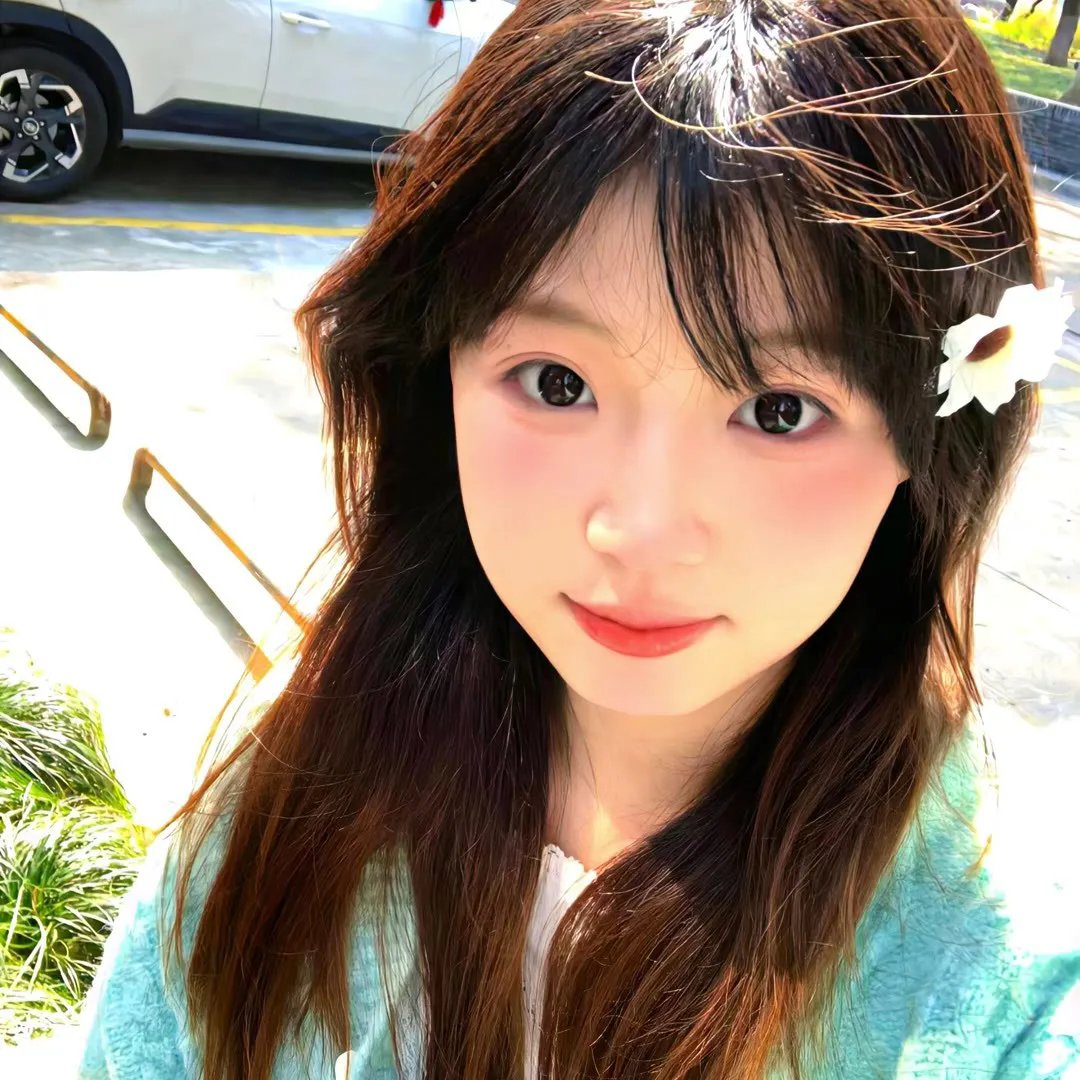 盗影谜情